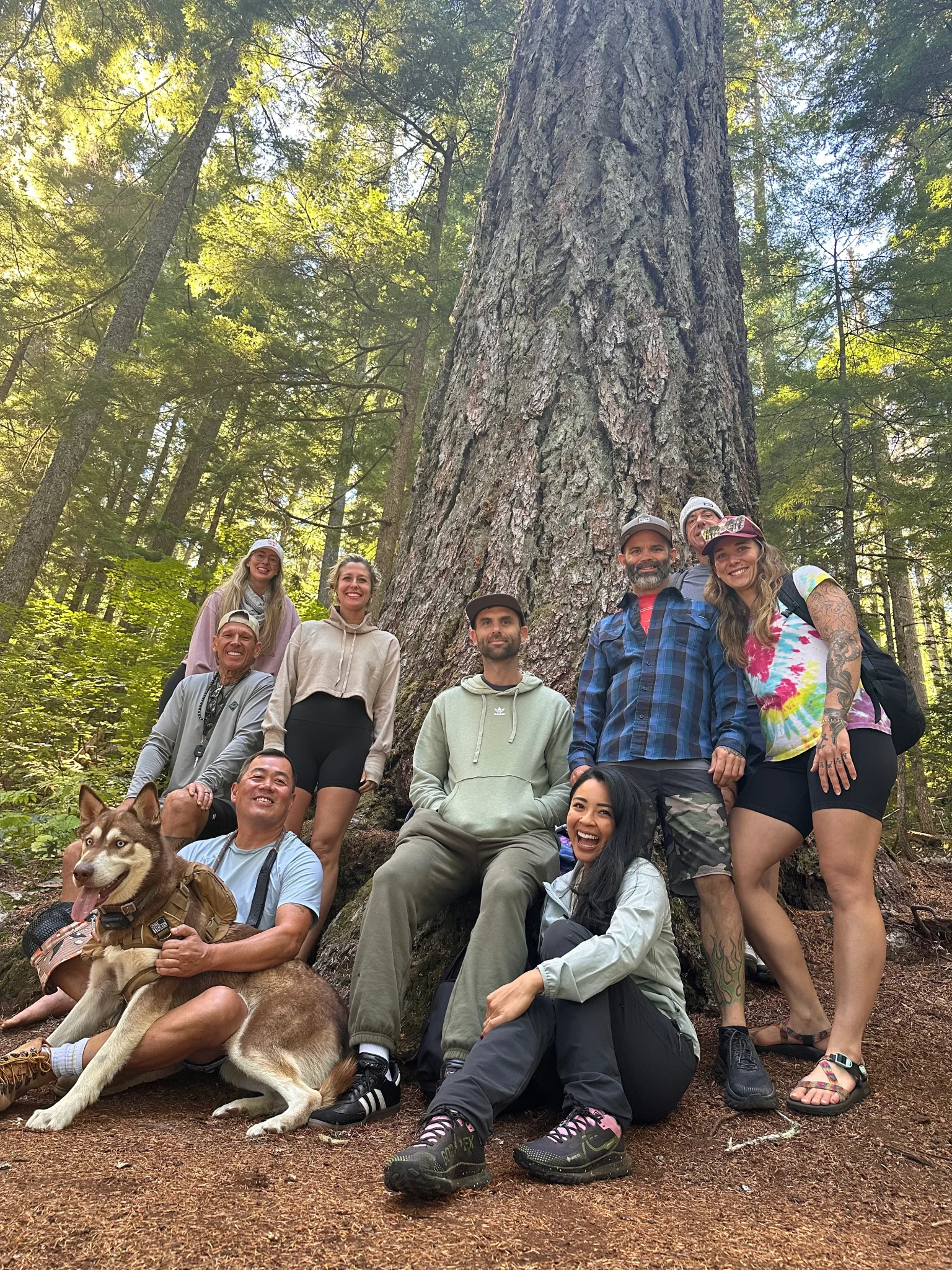 The Breath of Life cohort gathered under an old-growth tree in the Oregon forest